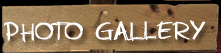 Photo Gallery